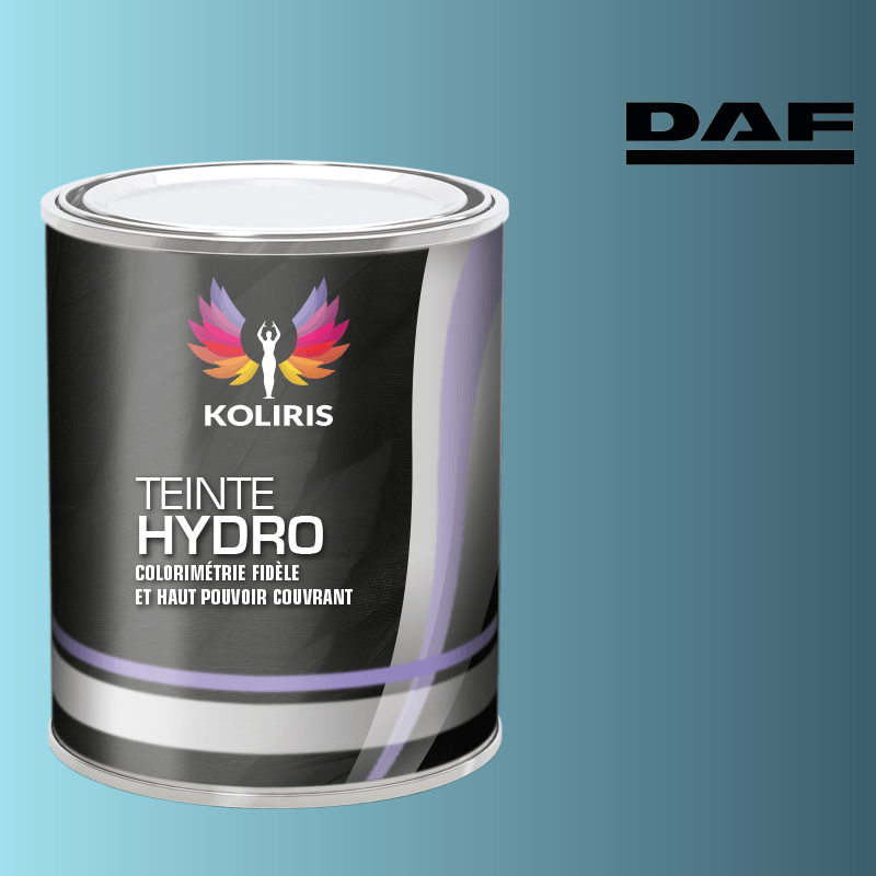 Peinture utilitaire - camion hydro Daf